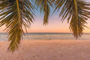 coucher de soleil sur la plage mer ciel pittoresque avec des feuilles de palmier. ambiance estivale fantastique, côte nature relaxante, horizon côtier. vue sur la mer, paysage d'île tropicale. concept de bannière de plage de voyage, espace de copie photo
