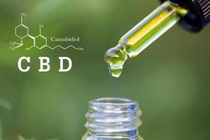 huile de chanvre, formule chimique cbd, huile de cannabis en pipette, concept d'herbe médicale photo