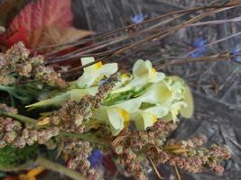 des fleurs colorées d'automne se trouvent sur la table photo