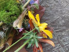 des fleurs colorées d'automne se trouvent sur la table photo