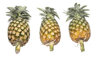 ananas alimentaire sain isolé sur tableau blanc. photo