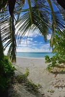 vue sur la plage tropicale photo