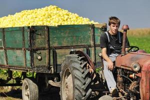 travailleur agricole avec des légumes frais photo
