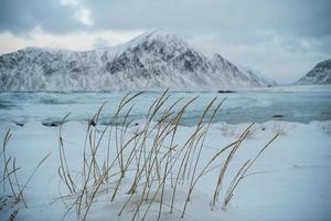 côte norvège en hiver avec de la neige mauvais temps nuageux photo