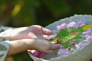 main féminine et fleur dans l'eau photo