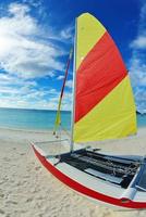 vue sur la plage tropicale photo