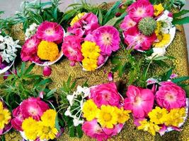 pétales de fleurs aux belles couleurs photo