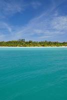 paysage de plage tropicale photo