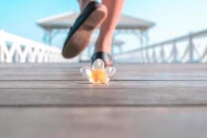 mise au point douce, fleur de plumeria sur le pont en bois avec l'arrière-plan flou, le pied marche. photo