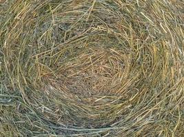 boule de foin récoltée sur le terrain en été photo