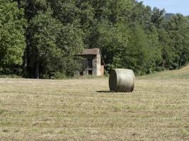 boule de foin récoltée sur le terrain en été photo