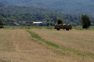 Tracteur récoltant du foin en été photo