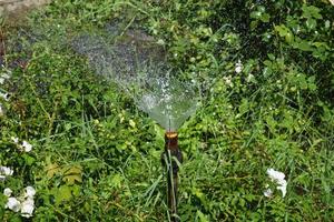 arroser la pelouse par une belle journée d'été photo