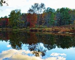 reflets d'automne colorés dans une rivière photo