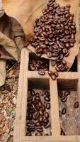 grains de café dans des feuilles de teck séchées et des boîtes en bois de teck photo