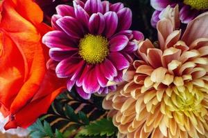 assortiment de fleurs lumineuses dans un arrangement. photo
