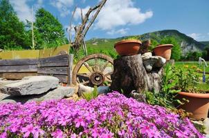 jardin avec belle décoration florale photo