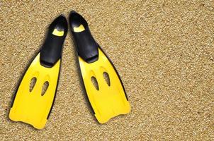 nageoires jaunes et plage de sable photo