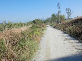 chemin de terre sans personne, de terre claire photo