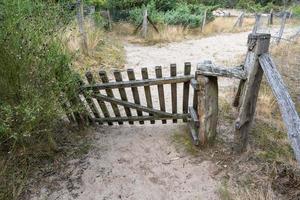 porte en bois dans un champ avec clôture photo