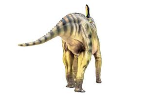 Tsintaosaurus spinorhinus dinosaure sur fond blanc isolé chemin de détourage photo