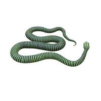 illustration 3d de serpent boomslang photo