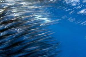 chasse au marlin rayé dans la boule d'appâts de sardine dans l'océan pacifique