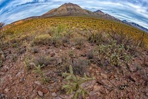 volcan trois vierges basse californie sur panorama photo