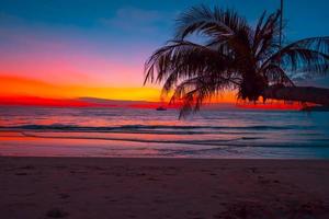 silhouette de beau coucher de soleil sur la plage de la mer avec palmier pour voyager en vacances se détendre, photo