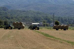 Tracteur récoltant du foin en été photo