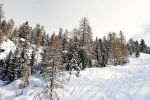 piste de ski dans la forêt de neige sur la montagne dans les dolomites, italie photo