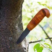 couteau coincé dans un arbre photo