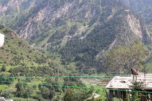 beauté naturelle majestueuse de neelum, vallée, cachemire. La vallée de Neelum est célèbre pour sa beauté naturelle, ses arbres verts luxuriants et ses rivières d'eau propre. photo