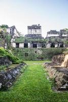 ruines mayas à tikal, parc national. voyager au guatémala. photo