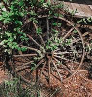 roue de wagon vintage photo