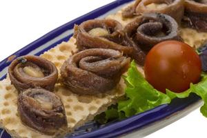 collation d'anchois dans un bol sur fond blanc photo