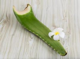 aloe vera sur fond de bois photo