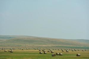 vue sur le paysage d'été photo