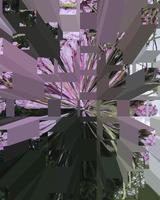 fond de fleurs illustration numérique photo
