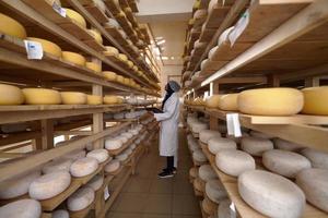femme d'affaires musulmane noire africaine dans une entreprise de production de fromage locale photo