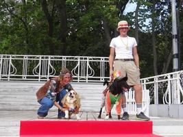 saint-pétersbourg, russie, 2022 - chiens habillés pour le défilé de mode au festival petshop days photo