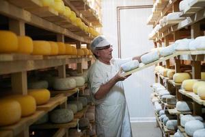 fromager au stockage avec des étagères pleines de fromage de vache et de chèvre photo