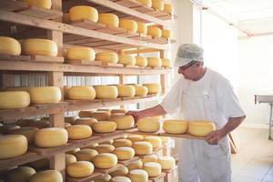 fromager au stockage avec des étagères pleines de fromage de vache et de chèvre photo