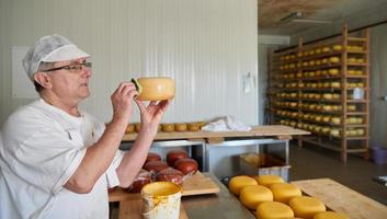 fromager à l'usine de production locale photo