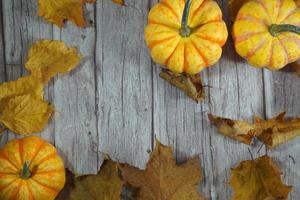 bordure d'angle d'automne de citrouilles orange et blanches. bordure d'angle d'automne avec des citrouilles orange givrées sur un fond de bannière en bois blanc rustique. vue aérienne avec espace de copie. photo