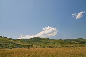 vue sur le paysage d'été photo