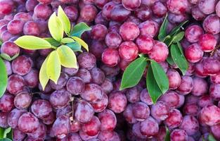 gros plan sur le marché des raisins photo