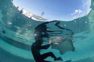 nager avec des raies sous l'eau en polynésie française photo