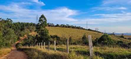 paysage naturel rural à l'intérieur du brésil dans une ferme d'eucalyptus au milieu de la nature photo