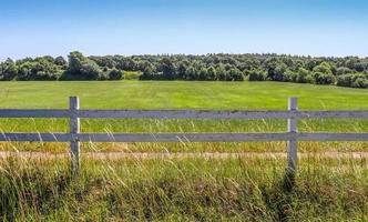 aérienne d'un champ agricole avec de l'herbe verte. photo